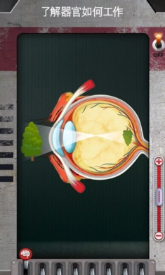 人体是如何运作的最新版图2