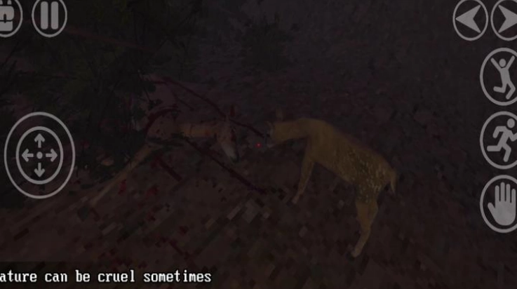 莫蒂索姆游戏(Mortisomem)图1