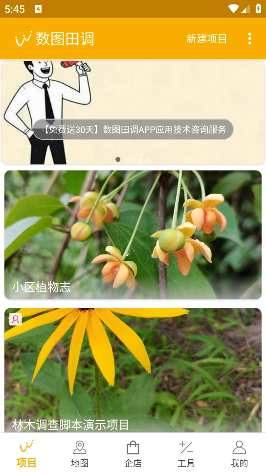 数图田调官方版图4