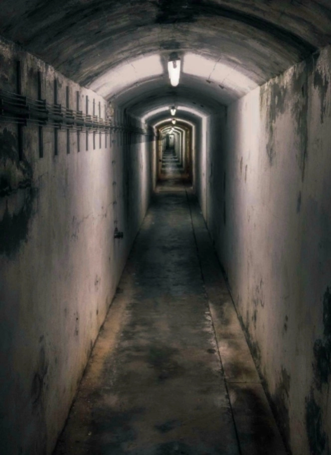 掩埋游戏