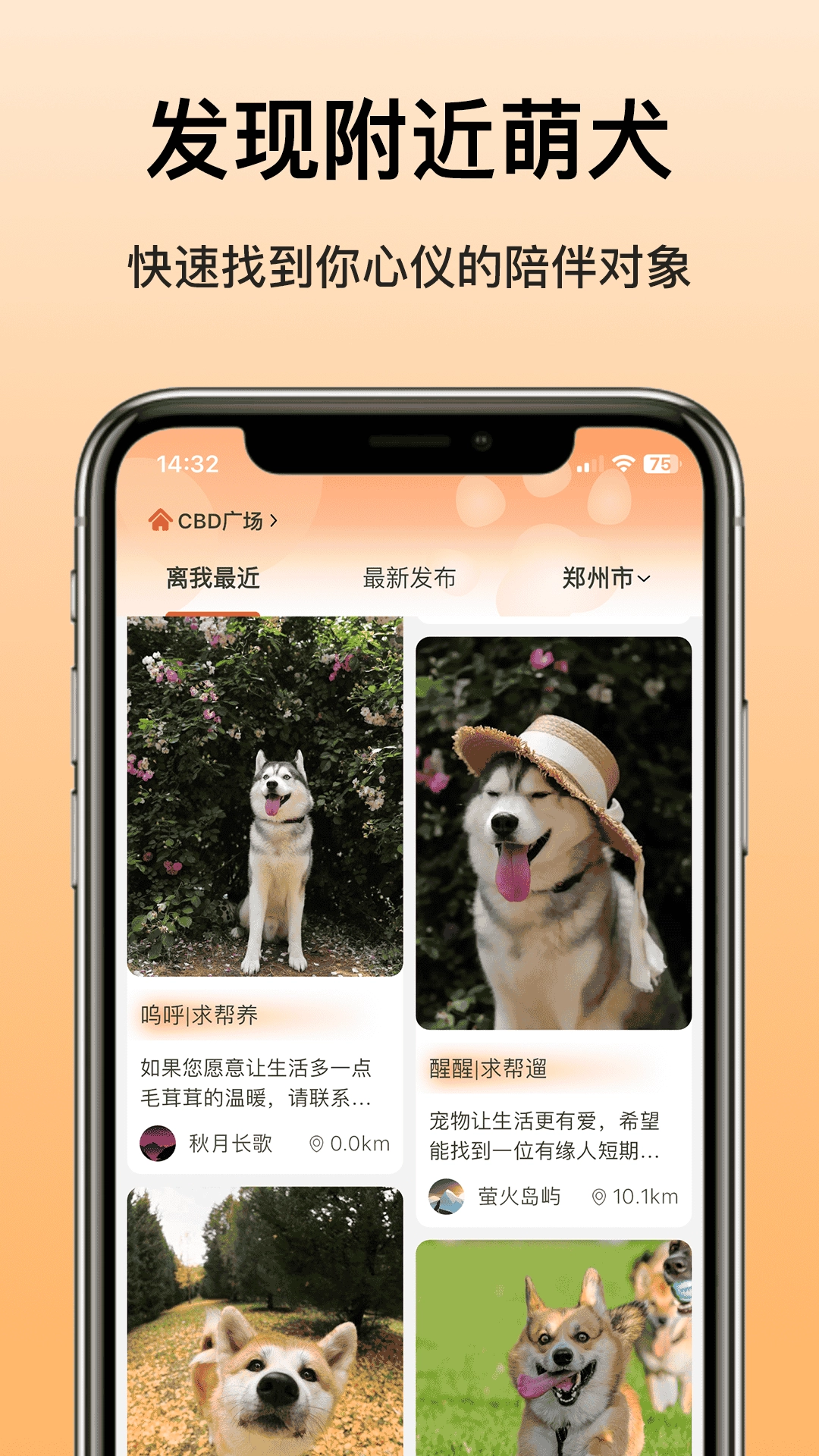 爱犬(3)
