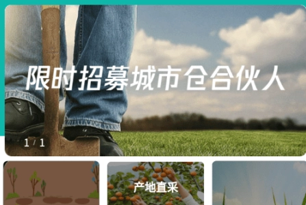 无闲田
