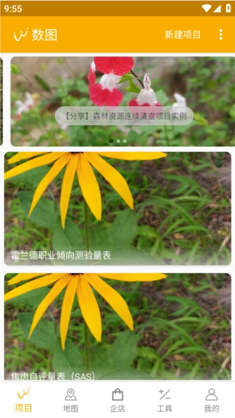 数图如何创建项目图片1