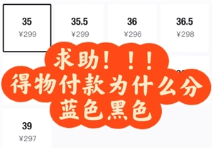得物付款时蓝色和黑色选项有什么不同，这两个颜色的付款方式哪个更能保证商品是正品呢