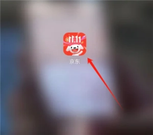 京东的AI系统名称是什么？京东AI相关的面试流程是怎样的？