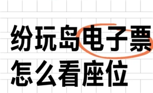 纷玩岛成功出票后，要如何查看自己的座位呢？另外，出票之后大概需要多长时间才能确定座位信息呀？