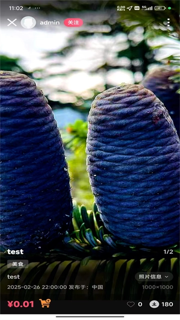 素漕短视频素材