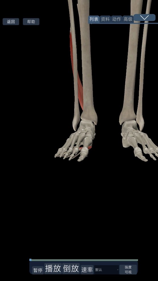 3d运动解剖手机版