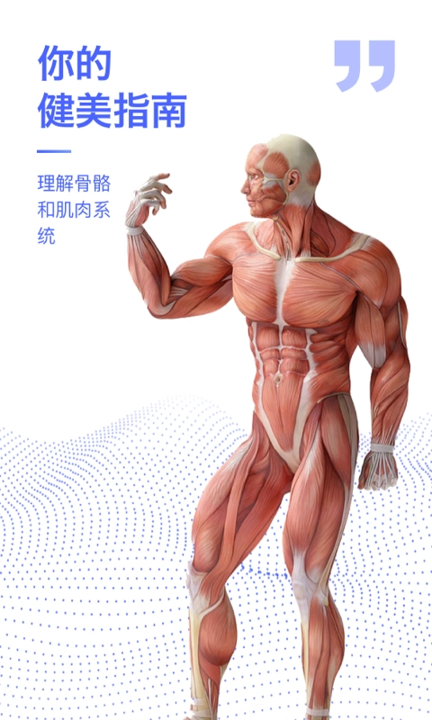 人体3d解剖图谱3d模型