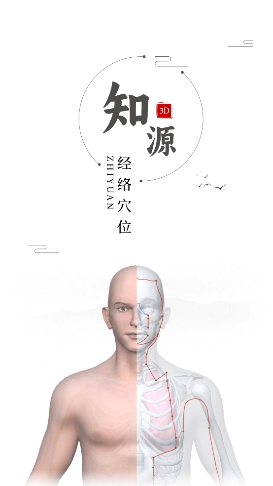 知源经络穴位