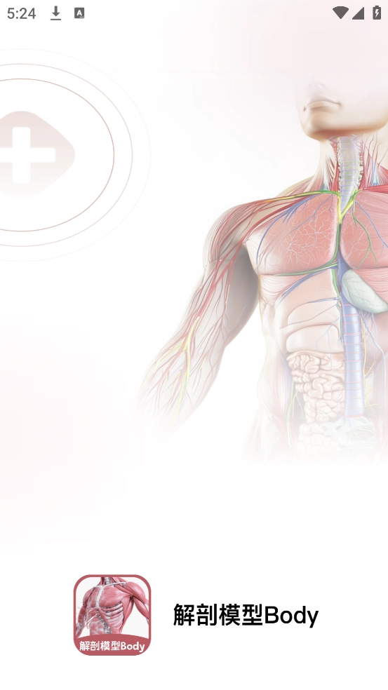 解剖模型Body软件