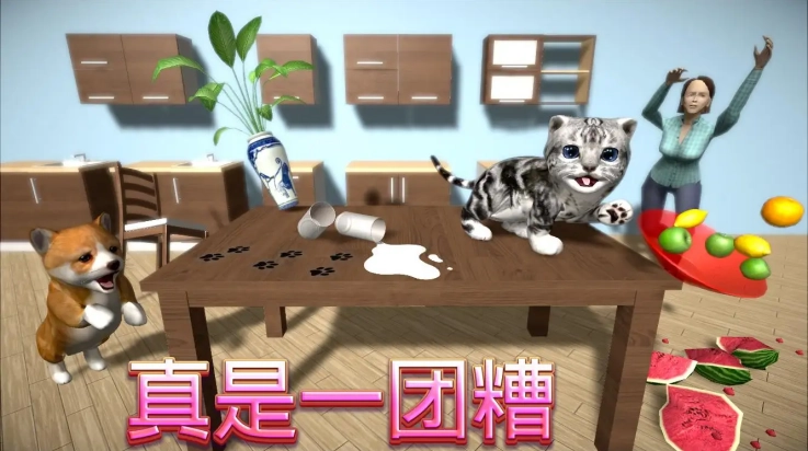 猫咪模拟器(1)