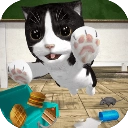 猫咪模拟器