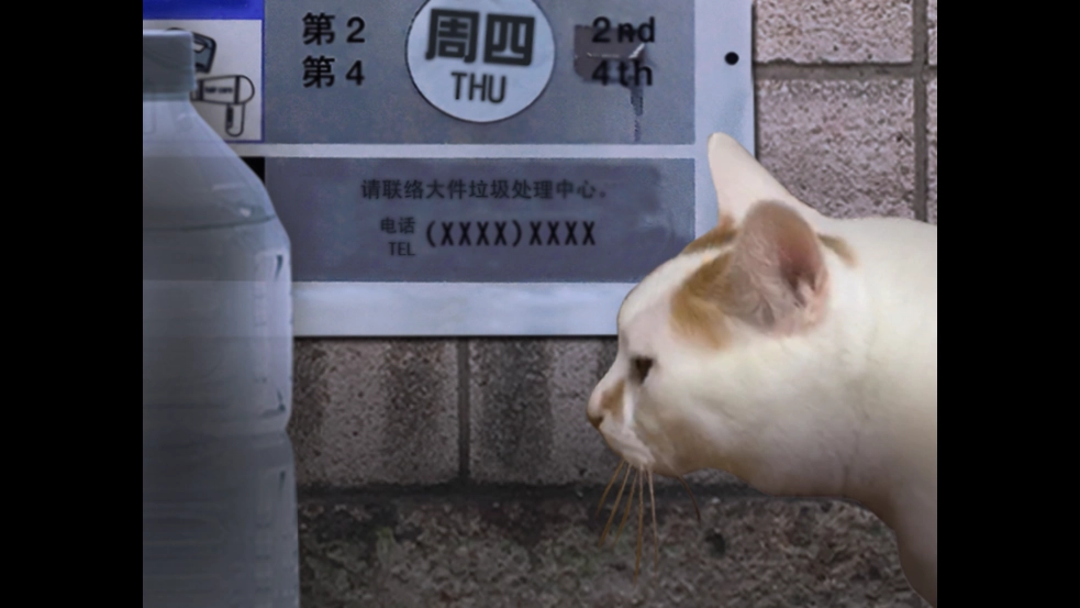 翌日猫之怪奇谭图2