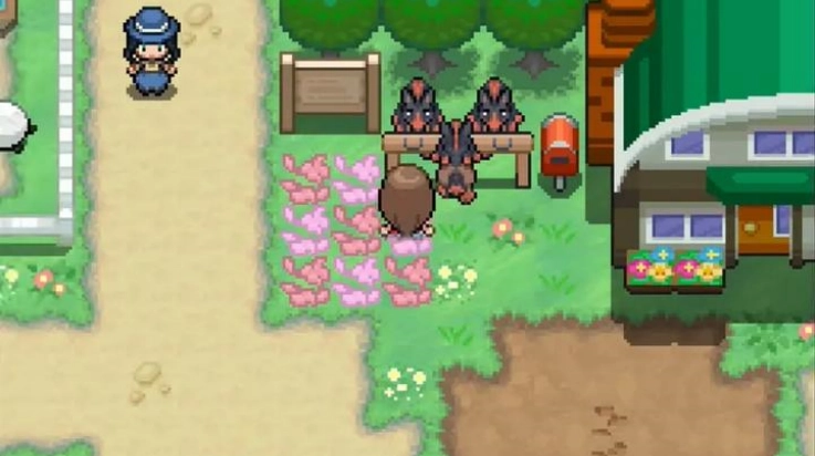 宝可梦蛋白石汉化版(3)