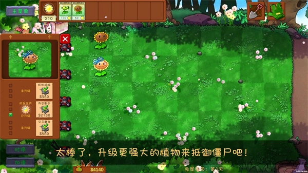 植物大战僵尸共生版截图1