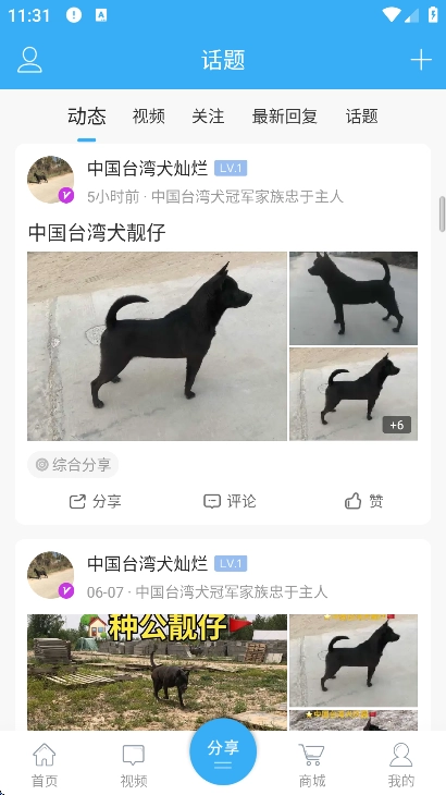 猛犬俱乐部明码交易区(4)