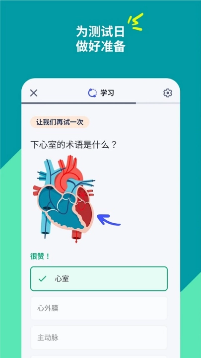 quizlet英语图1