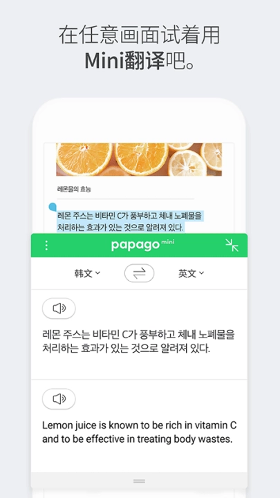 papago安装包
