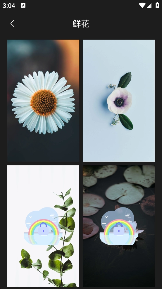 口袋免费壁纸图片(3)