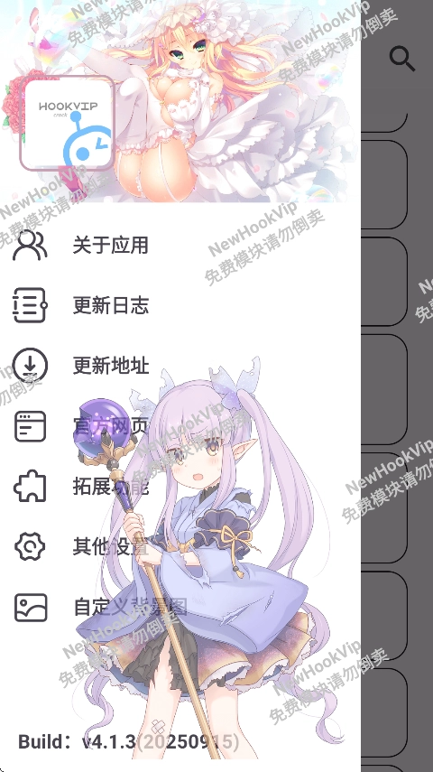 HookVip最新版(2)