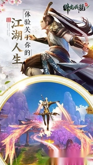 卧虎藏龙贰安卓版(2)