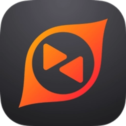 向日葵领航版v1.1.4.60754安卓版