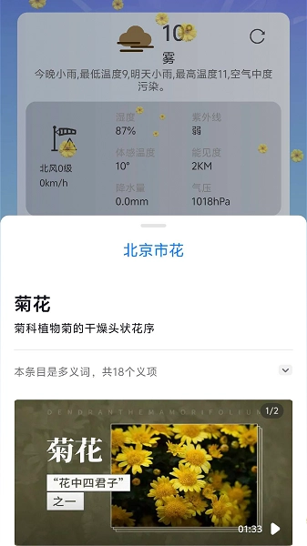 繁花天气