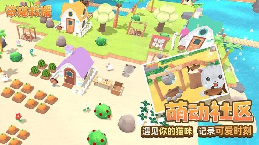 笨猫救援(3)