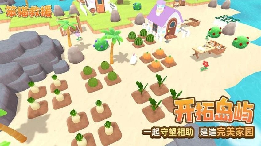 笨猫救援(2)