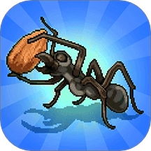蚂蚁指挥官