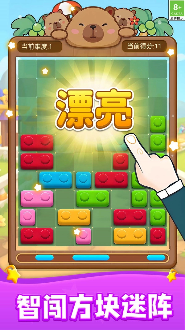 俄罗斯积木方块1.(5)