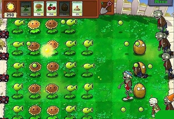 植物大战僵尸2010中文手机版图1