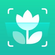 植物识别王