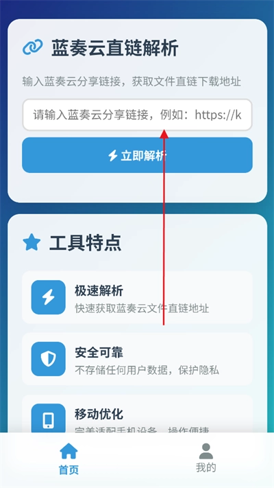 蓝奏云直链解析在线工具最新版图3