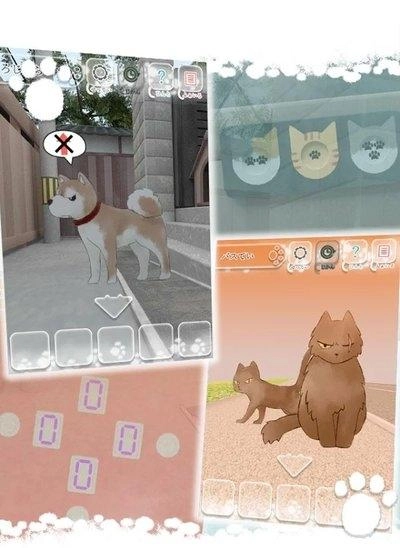 迷路的小猫逃离小胡同