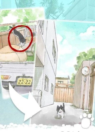 迷路的小猫逃离小胡同