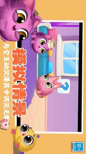 可爱猫猫乐园