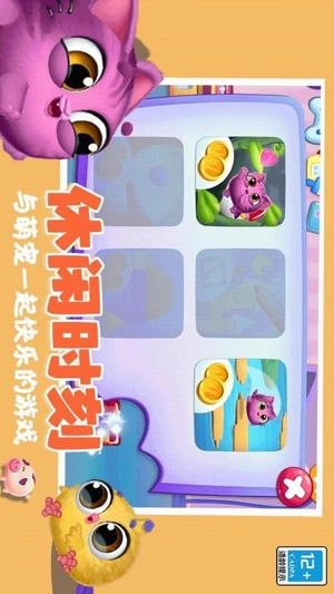 可爱猫猫乐园