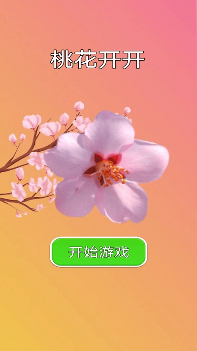 桃花开开3