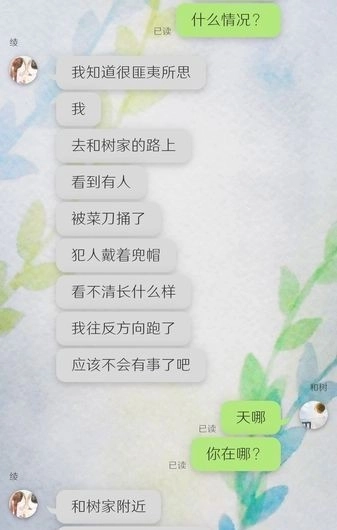 我的女友在被人追赶(2)