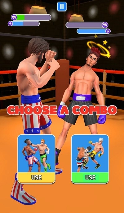 综合格斗冠军图3