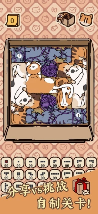 盒子猫
