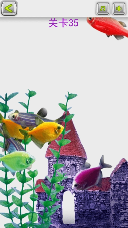 解压神器周末必备(2)