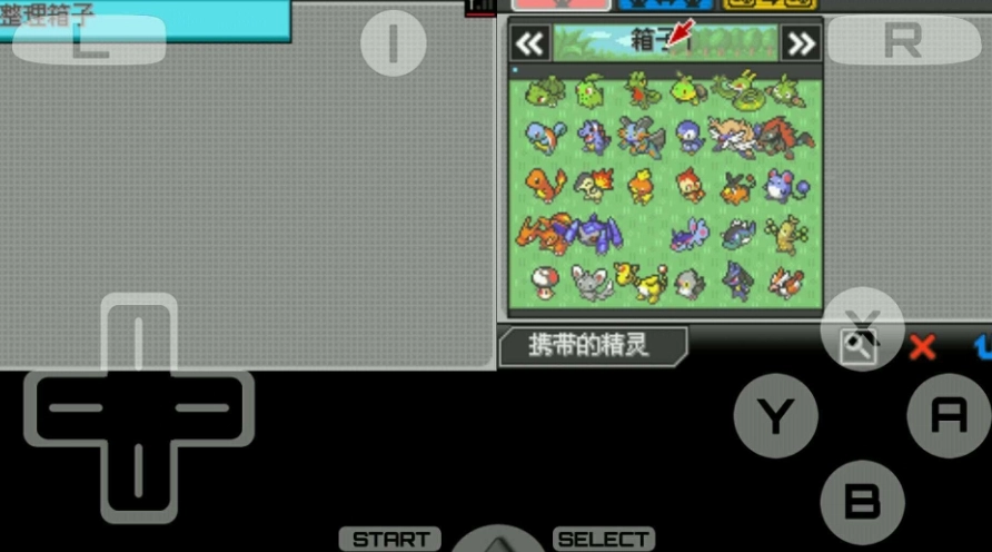 口袋妖怪超透黑图4