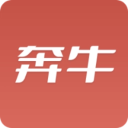 奔牛摄像头监控