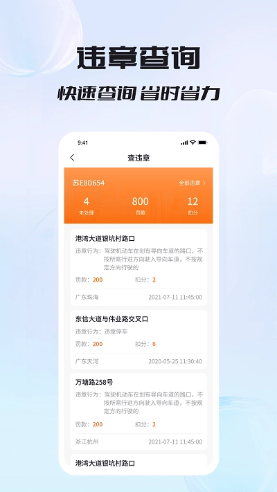 闪电车辆信息查询-图2