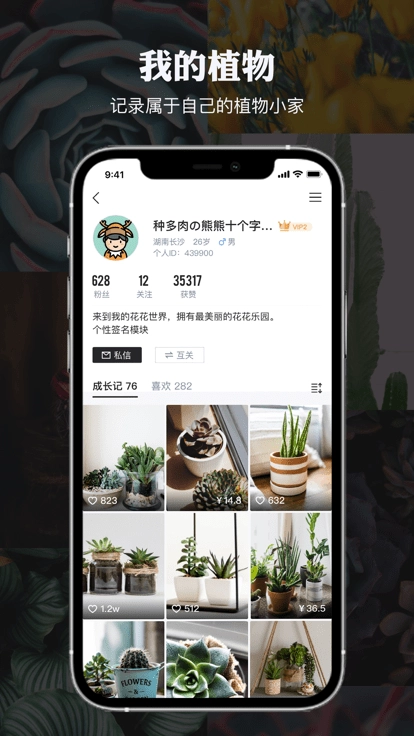 小植物图3