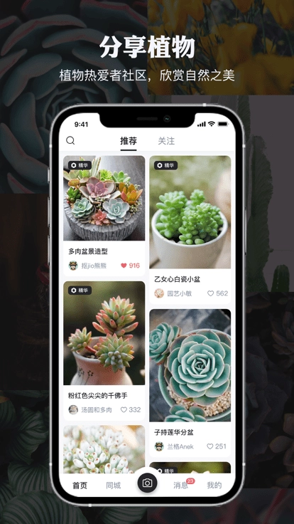 小植物图2