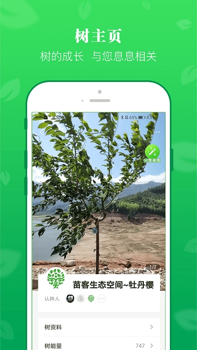苗客图2